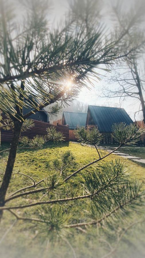 Loca Sapanca Bungalov Экстерьер фото